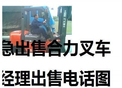 阜阳市出售转让二手合力电动叉车