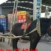 佛山市出售转让二手电动叉车