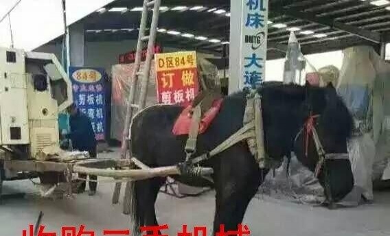 佛山市出售转让二手电动叉车