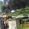 桂林市出售转让二手桩工机械