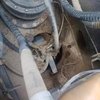 福州市出售转让二手不详小时2020年徐工XE400DK挖掘机