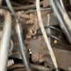 上饶市出售转让二手不详小时2011年日立ZX470H-3挖掘机