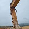贵阳市出售转让二手不详小时2021年徐工XE370D挖掘机