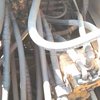 徐州市出售转让二手不详小时2012年小松PC220-8挖掘机