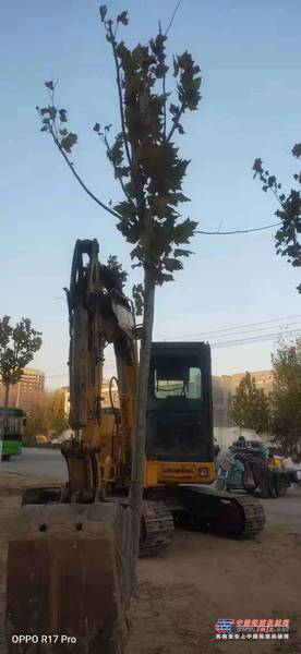 徐州市出售转让二手不详小时2010年龙工LG6065挖掘机