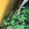 徐州市出售转让二手不详小时2020年小松PC240-8挖掘机