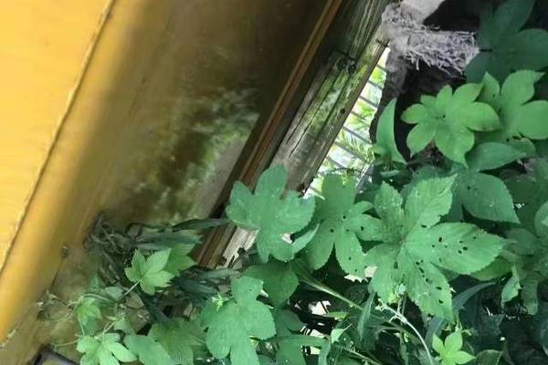 徐州市出售转让二手不详小时2020年小松PC240-8挖掘机