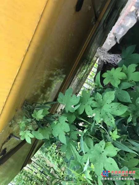 徐州市出售转让二手不详小时2020年小松PC240-8挖掘机