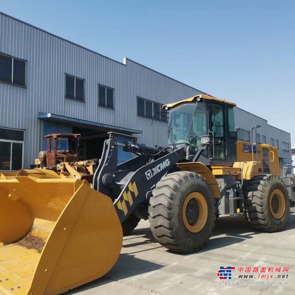 徐州市出售转让二手不详小时2022年徐工LW600FV装载机