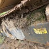 湘潭市出售转让二手不详小时2020年徐工XE55DA挖掘机