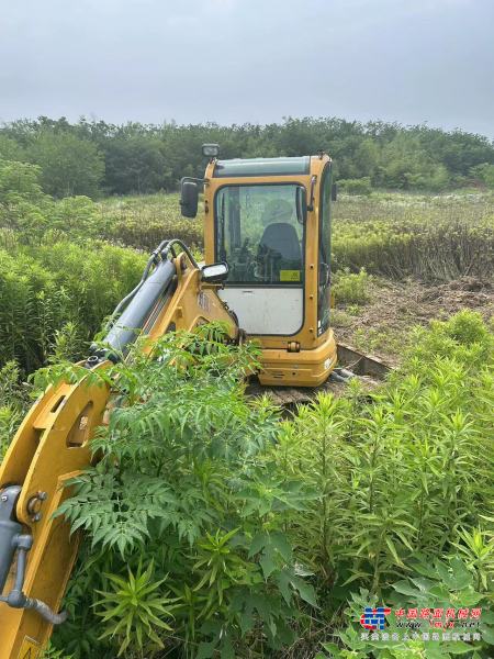 徐州市出售转让二手不详小时2020年徐工XE35U挖掘机