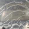 郑州市出售转让二手不详小时2020年徐工SQS300E随车起重机
