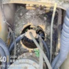 苏州市出售转让二手不详小时2012年徐工XE335C挖掘机