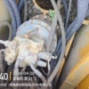 苏州市出售转让二手不详小时2012年徐工XE335C挖掘机