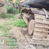 苏州市出售转让二手不详小时2019年徐工XE200DA挖掘机