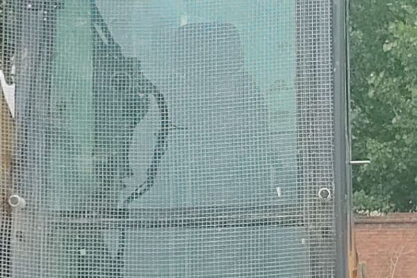 石家庄市出售转让二手不详小时2021年徐工XE215DA挖掘机