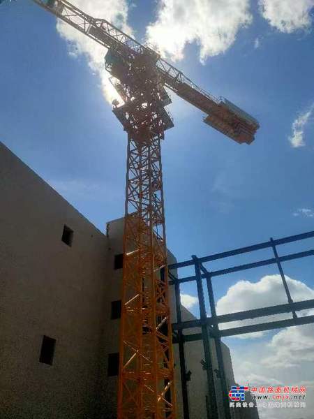 张家口市出售转让二手不详小时2021年徐工XGT6515A-10S塔式起重机