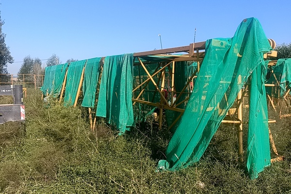 赤峰市出售转让二手不详小时2021年徐工XGT6015A-8S塔式起重机