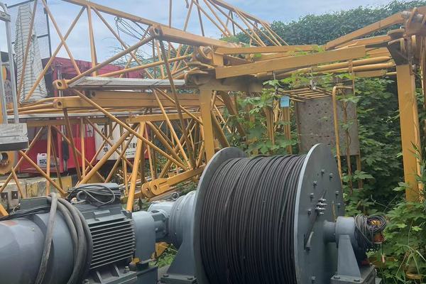 成都市出售转让二手不详小时2022年徐工XGL190-14S塔式起重机