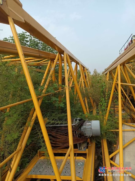 成都市出售转让二手不详小时2021年徐工XGT6010-6S1塔式起重机