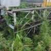 厦门市出售转让二手不详小时2021年徐工SC200/200FS1塔式起重机