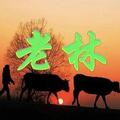 农村粗人老林