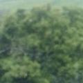 一9艘8口