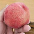 广达小郭