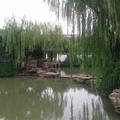 顾小兵1