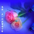 奋斗161854428
