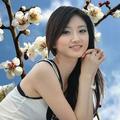 森林之王no1
