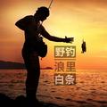 野钓浪里白条