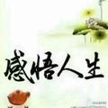感悟人生150805812
