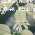 你在那点宝贝