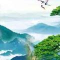 旭辉九洲