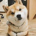 鸣谦杂谈