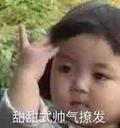 菠萝不是凤梨