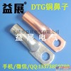 供应管压铜鼻子DTG.闭口铜鼻子.DTG镀锡铜鼻子,