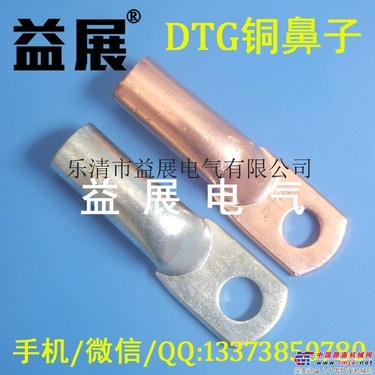 供应管压铜鼻子DTG.闭口铜鼻子.DTG镀锡铜鼻子,