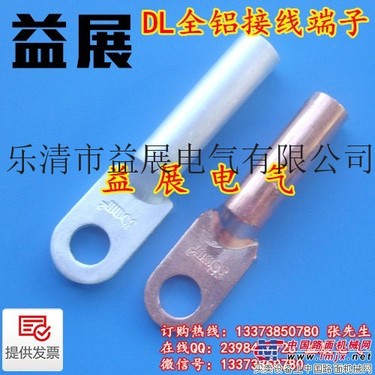 供应DL-50铝线鼻子,全铝电缆接线鼻子,高压铜铝鼻子
