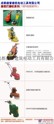 成都路面打磨机批发厂家