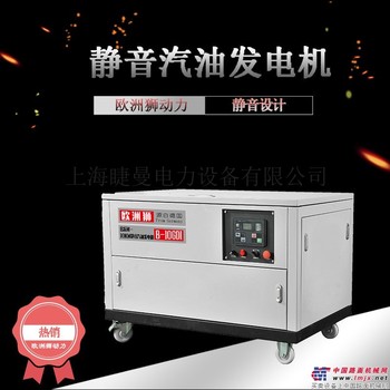 供应欧洲狮动力GT-650TSI发电机(组)