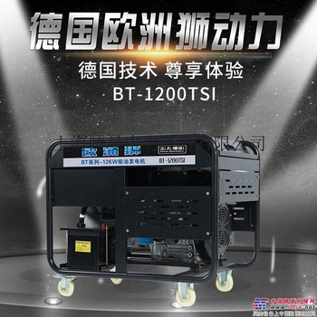 欧洲狮10kw双缸柴油发电机