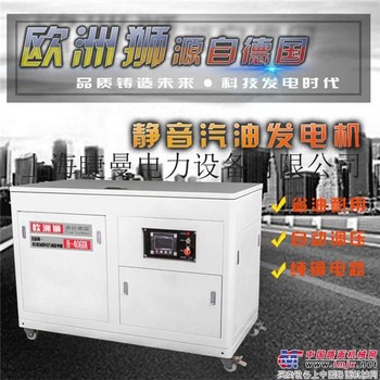 永磁40kw静音汽油发电机价格