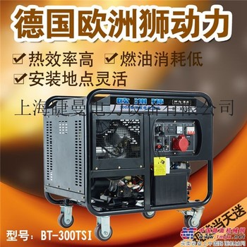 工地用300a发电电焊两用机