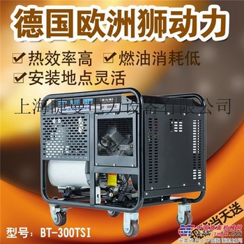 工地用300a发电电焊两用机