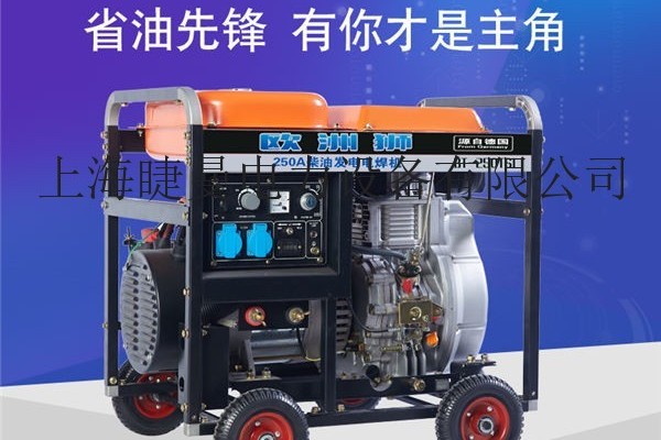 250a发电电焊机长耐焊4.0