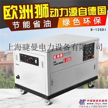 营业厅12kw低噪音汽油发电机
