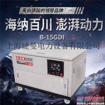 遥控启动20kw汽油发电机报价