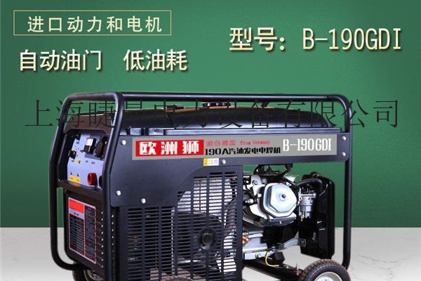 190A永磁汽油發電電焊機
